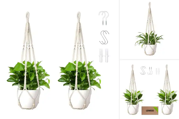 Detailed view of Best 35 Inch Plant Hanger Sets