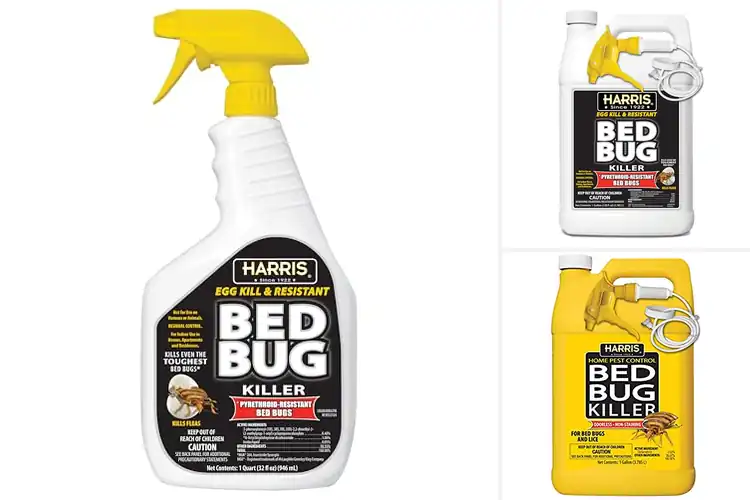 Detailed view of Best Bed Bug Sprays: Top 10 Solutions for a Bug-Free Sleep