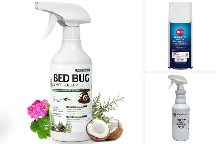 Detailed view of Best Bedbug & Dust Mite Sprays
