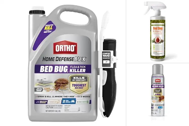 Detailed view of Best BedBug Sprays: Top 10 Picks for a Pest-Free Home