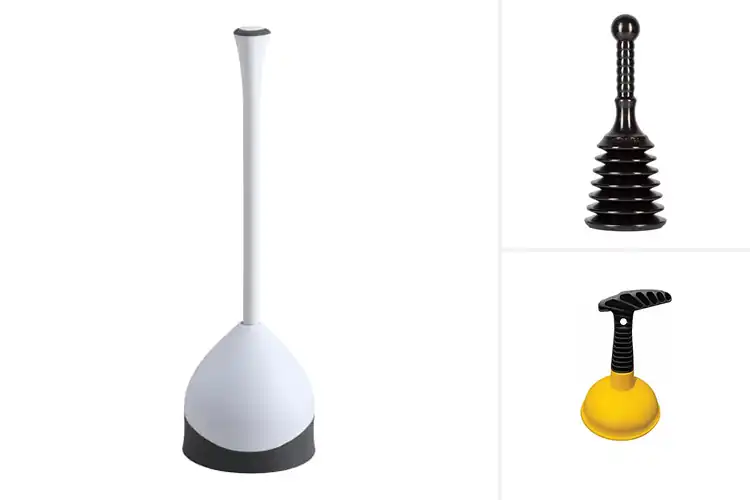 Detailed view of Best Compact Plungers