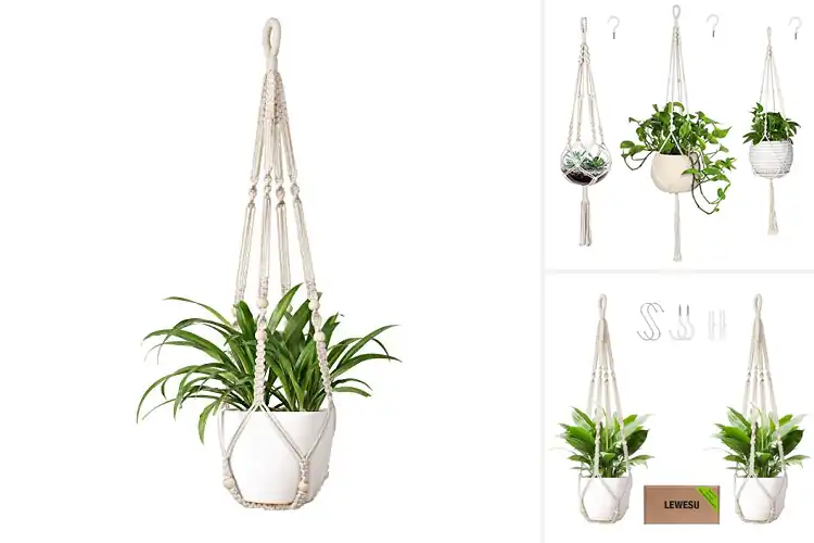 Detailed view of Best Cotton Macrame Plant Hangers
