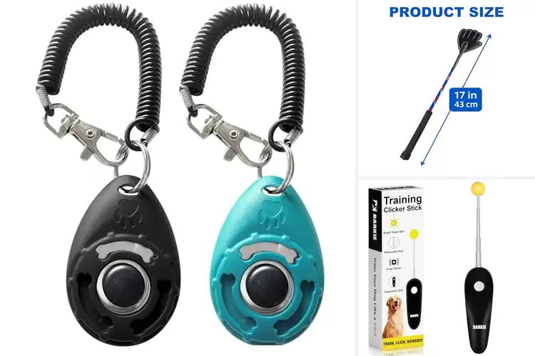 Detailed view of Best Dog Obedience Tools