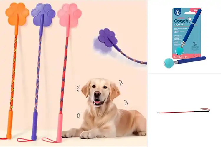 Detailed view of Best Dog Training Sticks