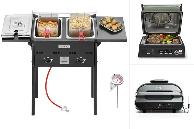 Detailed view of Best Fryers For BBQ: Crisp, Easy, and Delicious Every Time