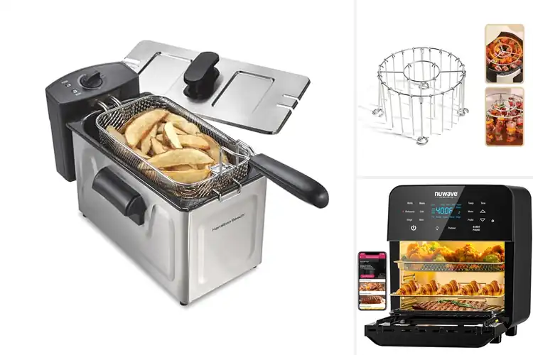 Detailed view of Best Fryers For Family BBQ