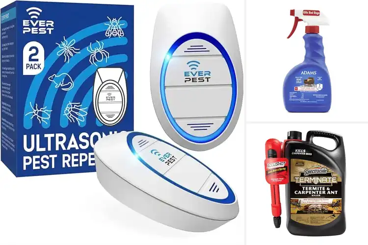 Detailed view of Best Home Pest Treatments