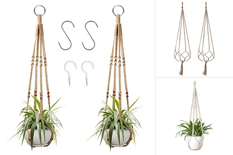 Detailed view of Best Indoor Outdoor Plant Hangers