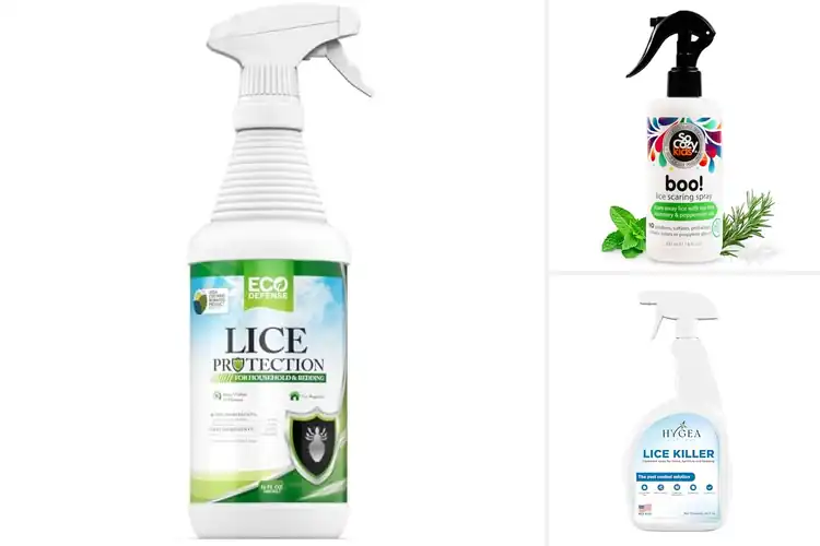 Detailed view of Best Lice And Egg Comb Out Spray