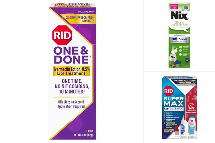 Detailed view of Best Lice Treatment For Eggs