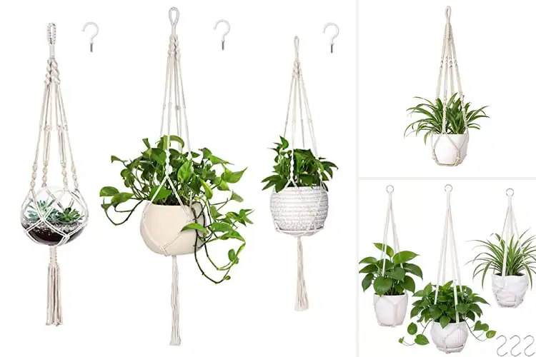 Detailed view of Best Macrame Plant Hangers