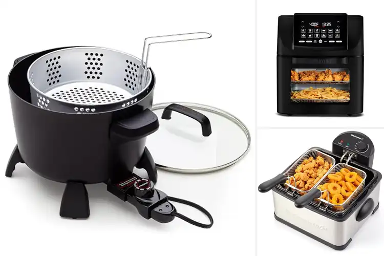 Detailed view of Best Multi Purpose Fryers