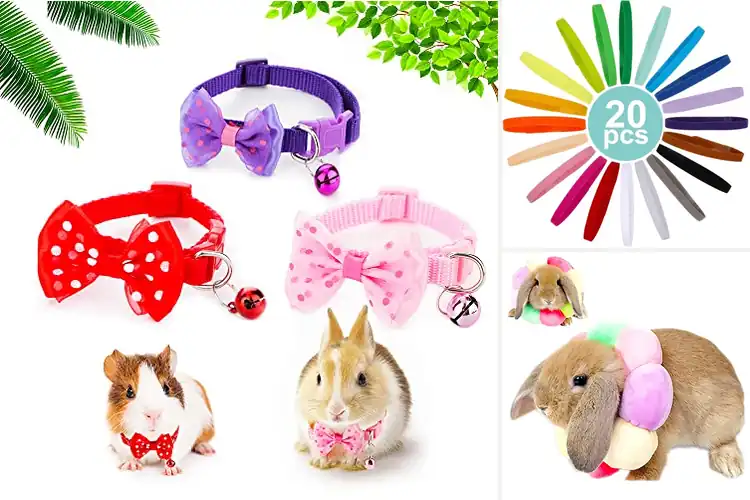 Detailed view of Best Rabbit Collars: Safe, Comfortable, and Easy to Use