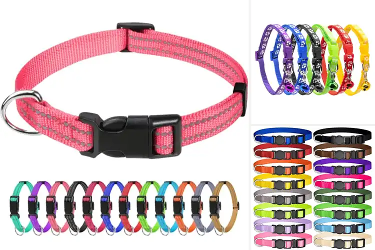 Detailed view of Best Small Pet Collars