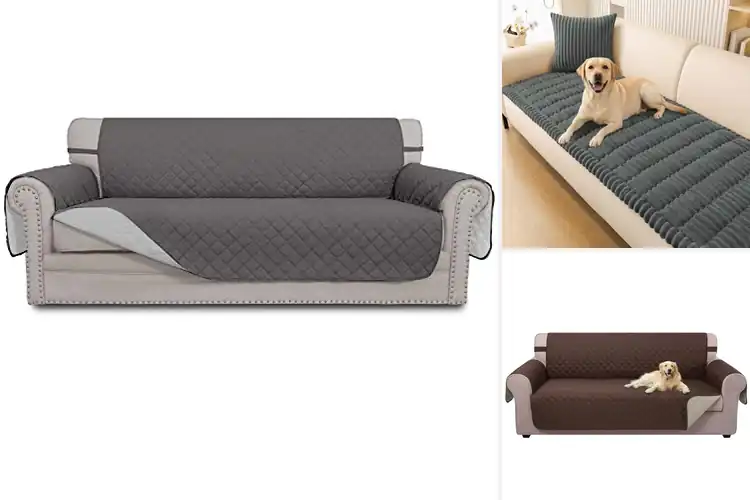 Detailed view of Best Sofa Protectors: Top Picks to Keep Your Couch Spotless