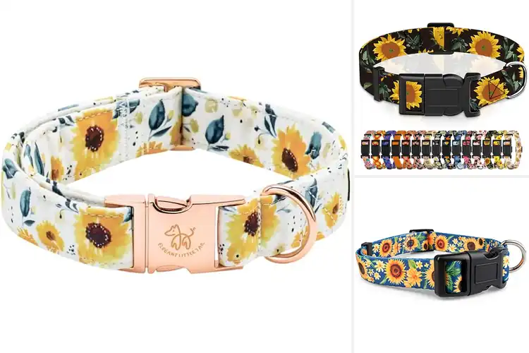 Detailed view of Best Sunflower Collars for Pets: Bright & Durable Style