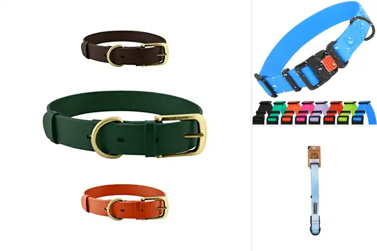 Detailed view of Best Waterproof Collars: Top 10 Picks for Dogs