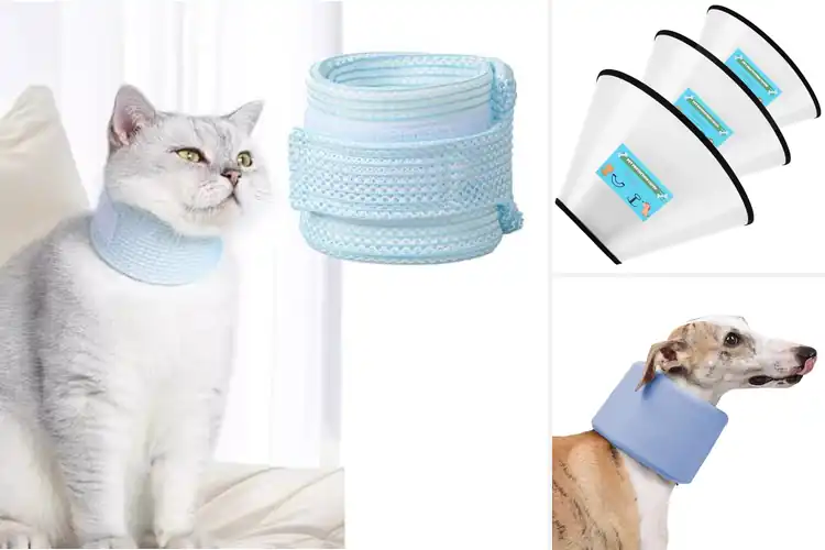 Detailed view of Best Wound Protection Collars: Top 10 Picks for Safe Healing
